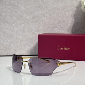 Cartier CT0267S sunglasses