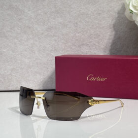 Cartier CT0267S sunglasses