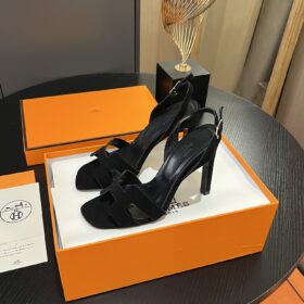 HERMES CY2077